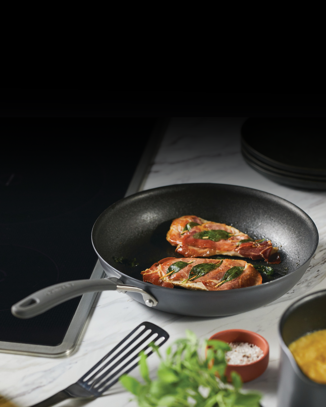 a1 frying pan with meat, sitting on a kitchen countertop 