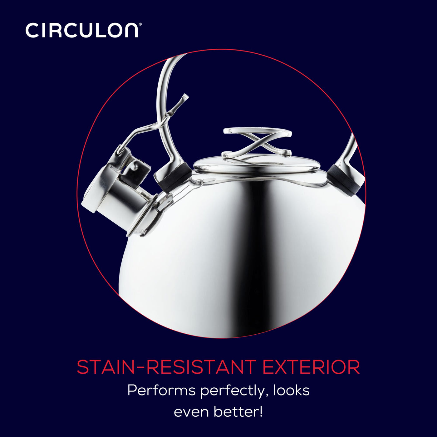 Metal teapot with a stain-resistant exterior and elegant handle design.