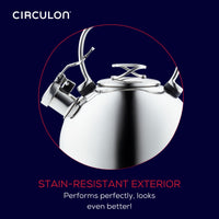 Metal teapot with a stain-resistant exterior and elegant handle design.