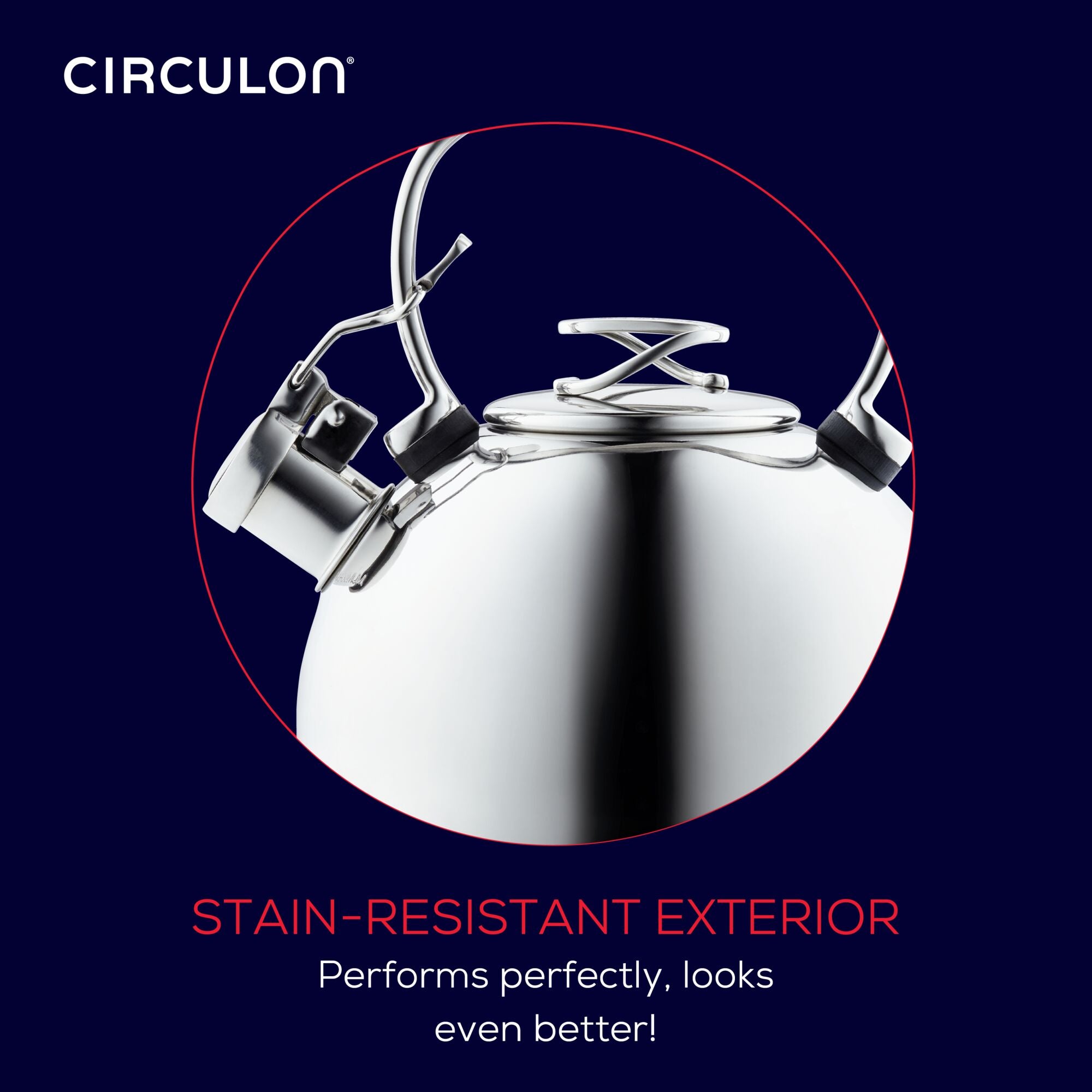 Metal teapot with a stain-resistant exterior and elegant handle design.