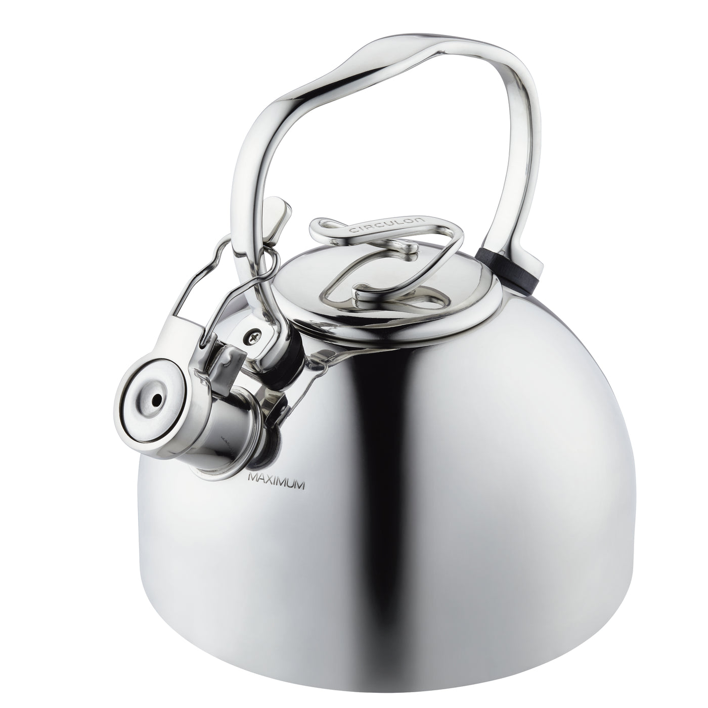 Stainless steel kettle with a handle and spout, viewed from the side.