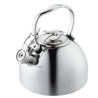 Stainless steel kettle with a handle and spout, viewed from the side.